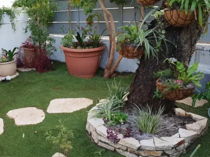 גינות לגלריה 37